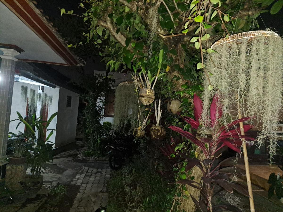 Ascarya Guest House Sanur Exteriör bild