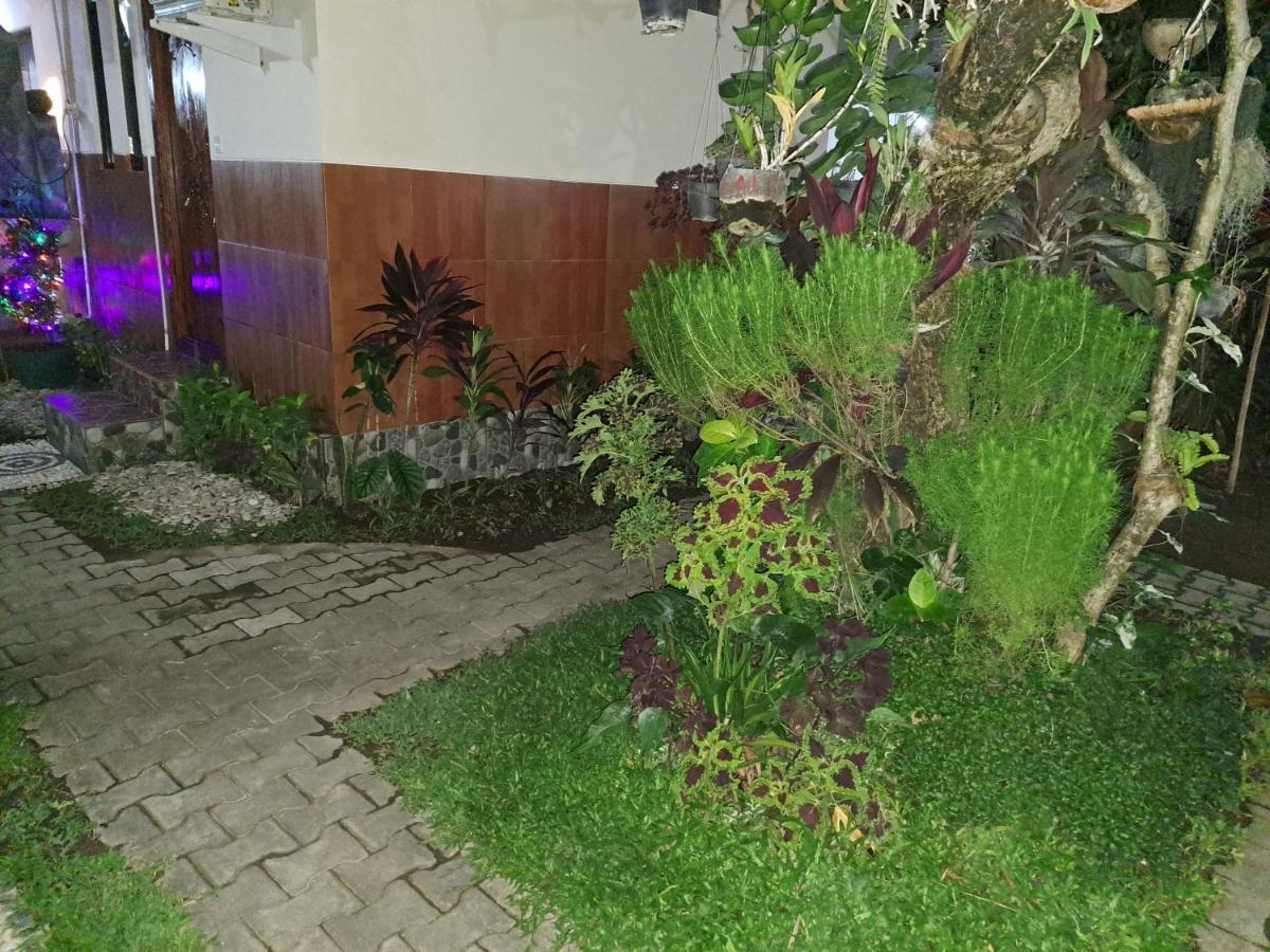 Ascarya Guest House Sanur Exteriör bild