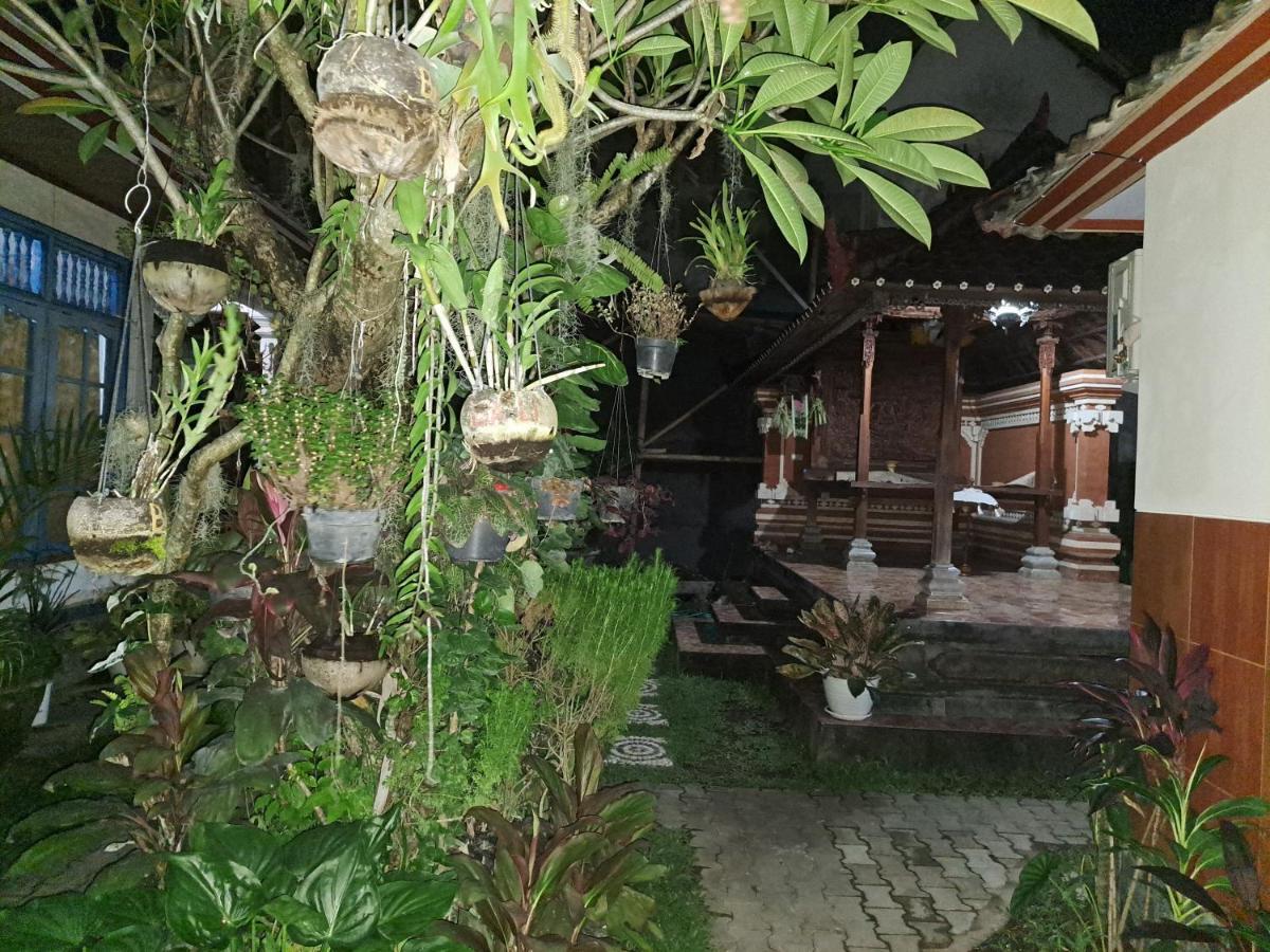 Ascarya Guest House Sanur Exteriör bild